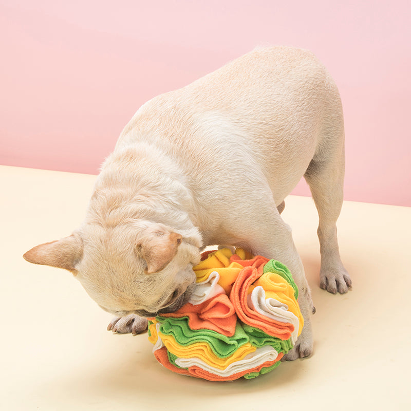 Snuffle Ball Interactive Dog Toys Ball Dog Brain Mental Stimulating Puzzle Toys for Dogs Enrichment Game Feeding Mat for Stress Relief Portable Machine Washable