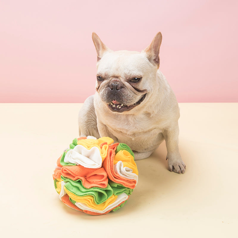 Snuffle Ball Interactive Dog Toys Ball Dog Brain Mental Stimulating Puzzle Toys for Dogs Enrichment Game Feeding Mat for Stress Relief Portable Machine Washable